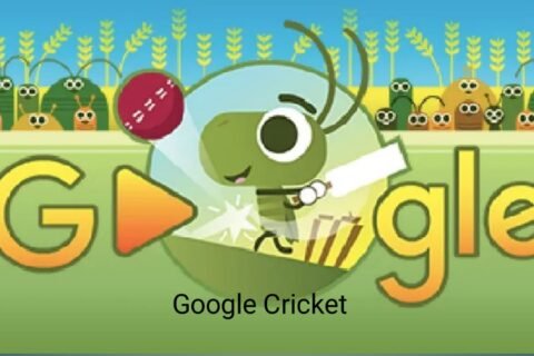 Google Cricket