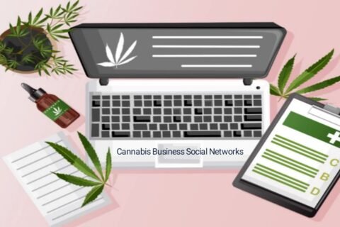 Cannabis Business Social Networks