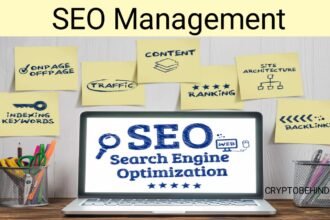 SEO Management