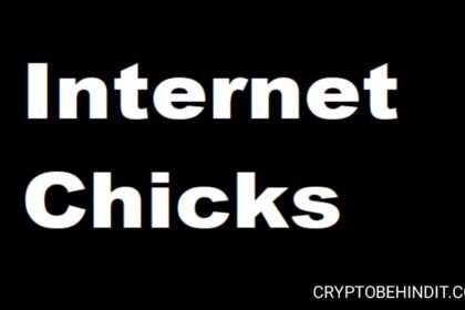 Internet Chicks