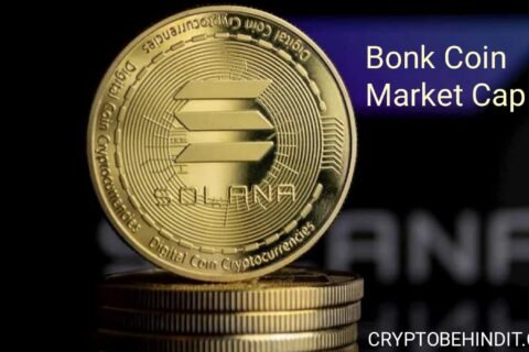 Bonk Coin Market Cap