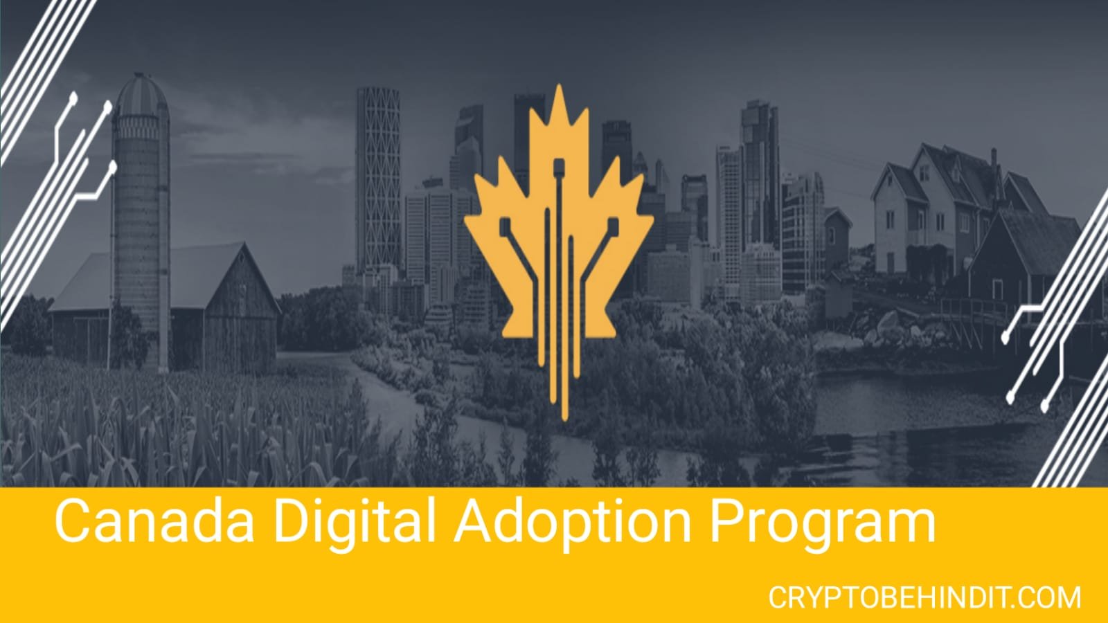 Canada Digital Adoption Program